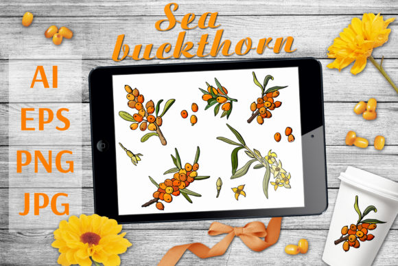 Sea Buckthorn: A Versatile Resource for Creative and Professional Workflows