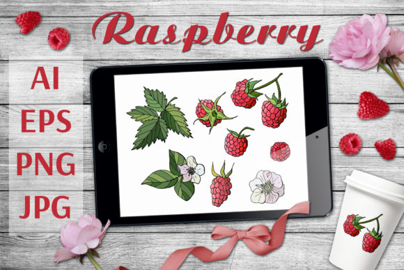 Sweet Raspberries in the Set: A Creative Resource for Web Designers
