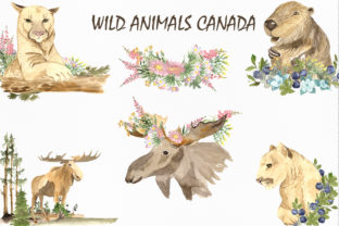 Wild Animals of Canada